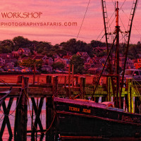 ZenPhotography_0010