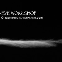 ZenPhotography_0047